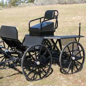 *SOLD* Puddle Jumper Marathon Carriage - Like NEW!